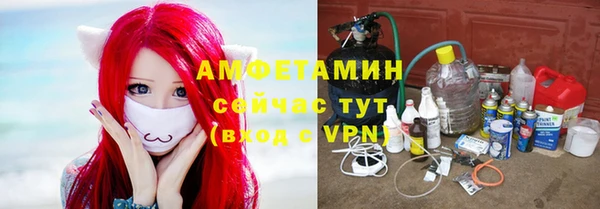 амф Богданович