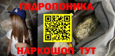скорость Заводоуковск