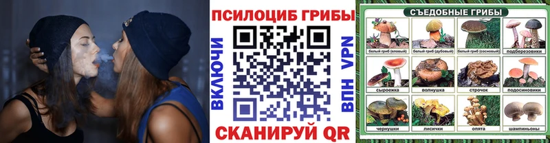 где найти   Волжск  Галлюциногенные грибы Magic Shrooms 